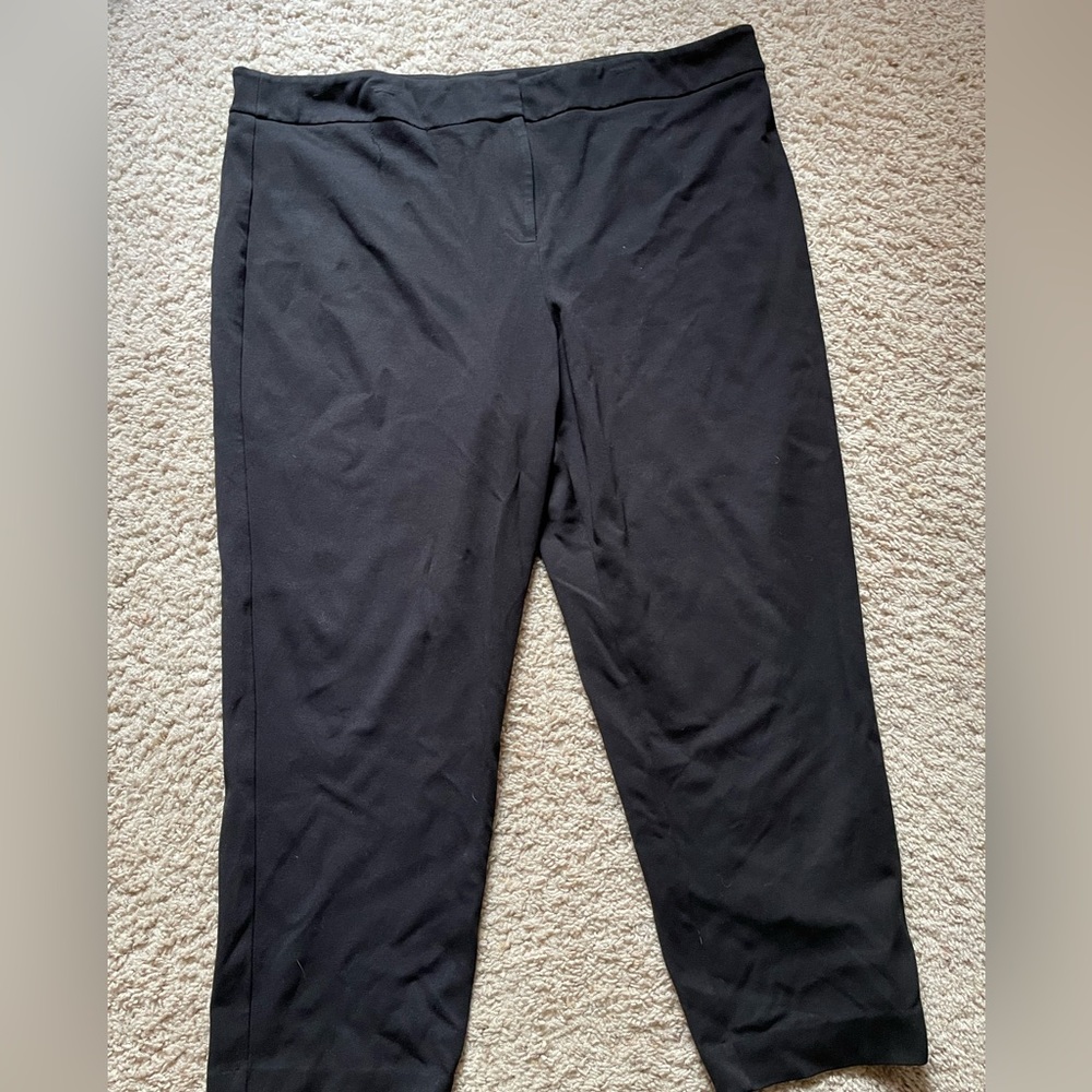 Euc Pendleton, Black Trousers, Flat, Front Zipper… - image 2